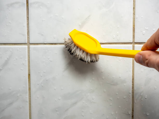 Best Local Mold Removal Service  in Crestwood, KY