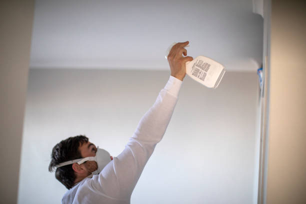 Office Mold Removal Services in Crestwood, KY