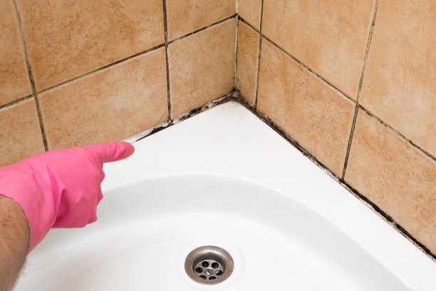 Best Crawl Space Mold Removal  in Crestwood, KY
